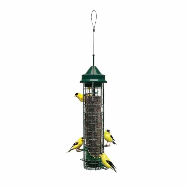 Finch Feeder Squirrel Buster