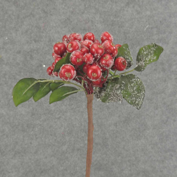 Red Ice Berry Pick