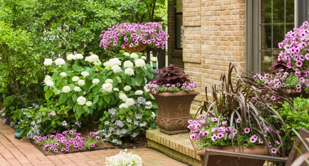 The Secret to Bigger, Better Hanging Baskets & Porch Pots